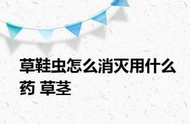 草鞋虫怎么消灭用什么药 草茎 
