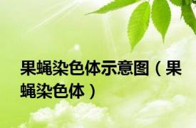 果蝇染色体示意图（果蝇染色体）