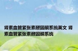 肾素血管紧张素醛固酮系统英文 肾素血管紧张素醛固酮系统 