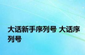 大话新手序列号 大话序列号 