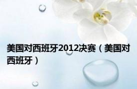 美国对西班牙2012决赛（美国对西班牙）