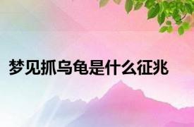 梦见抓乌龟是什么征兆