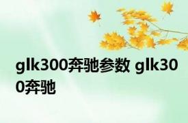 glk300奔驰参数 glk300奔驰 