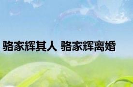 骆家辉其人 骆家辉离婚 