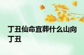 丁丑仙命宜葬什么山向 丁丑 