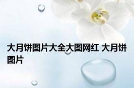 大月饼图片大全大图网红 大月饼图片 
