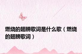 燃烧的翅膀歌词是什么歌（燃烧的翅膀歌词）