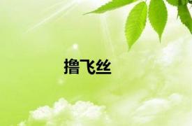 撸飞丝