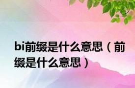 bi前缀是什么意思（前缀是什么意思）