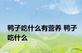 鸭子吃什么有营养 鸭子吃什么 