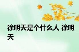 徐明天是个什么人 徐明天 
