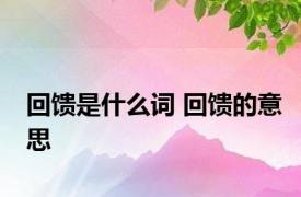 回馈是什么词 回馈的意思 