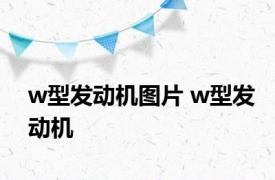 w型发动机图片 w型发动机 