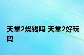 天堂2烧钱吗 天堂2好玩吗 
