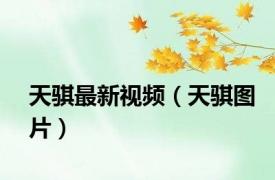 天骐最新视频（天骐图片）