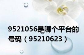 9521056是哪个平台的号码（95210623）