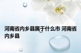 河南省内乡县属于什么市 河南省内乡县 