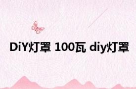 DiY灯罩 100瓦 diy灯罩 