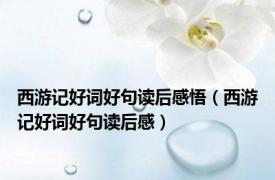 西游记好词好句读后感悟（西游记好词好句读后感）