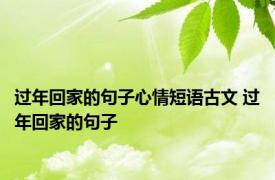 过年回家的句子心情短语古文 过年回家的句子 