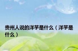 贵州人说的洋芋是什么（洋芋是什么）