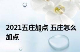 2021五庄加点 五庄怎么加点 