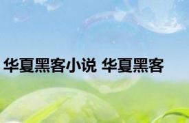 华夏黑客小说 华夏黑客 