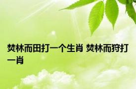 焚林而田打一个生肖 焚林而狩打一肖 
