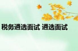 税务遴选面试 遴选面试 