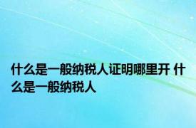 什么是一般纳税人证明哪里开 什么是一般纳税人 