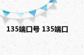 135端口号 135端口 