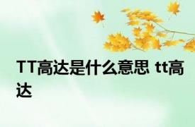 TT高达是什么意思 tt高达 