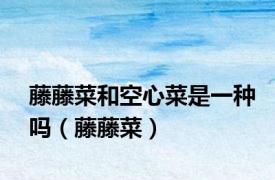藤藤菜和空心菜是一种吗（藤藤菜）