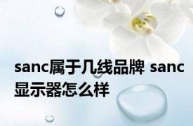 sanc属于几线品牌 sanc显示器怎么样 