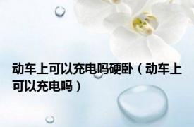 动车上可以充电吗硬卧（动车上可以充电吗）