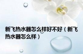 新飞热水器怎么样好不好（新飞热水器怎么样）