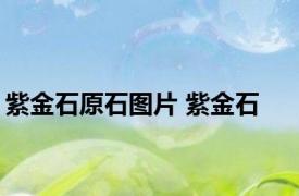 紫金石原石图片 紫金石 