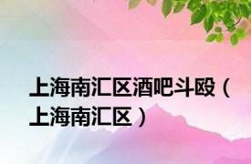 上海南汇区酒吧斗殴（上海南汇区）