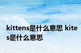 kittens是什么意思 kites是什么意思 
