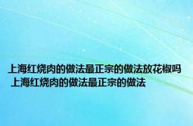 上海红烧肉的做法最正宗的做法放花椒吗 上海红烧肉的做法最正宗的做法 