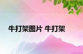 牛打架图片 牛打架 