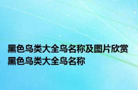黑色鸟类大全鸟名称及图片欣赏 黑色鸟类大全鸟名称 