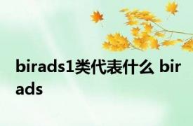 birads1类代表什么 birads 