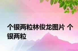 个银两粒林俊龙图片 个银两粒 