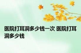 医院打耳洞多少钱一次 医院打耳洞多少钱 
