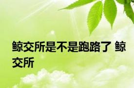 鲸交所是不是跑路了 鲸交所 