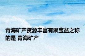 青海矿产资源丰富有聚宝盆之称的是 青海矿产 
