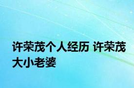许荣茂个人经历 许荣茂大小老婆 