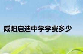 咸阳启迪中学学费多少