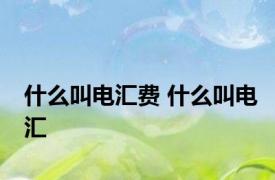 什么叫电汇费 什么叫电汇 